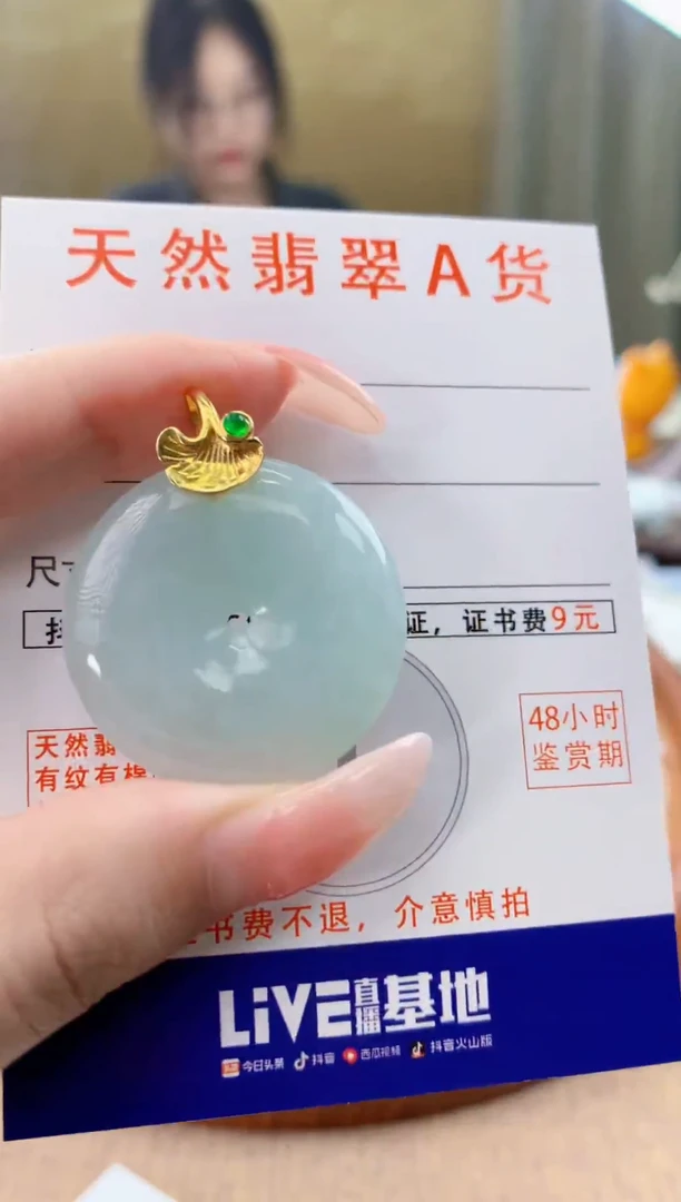 颈饰未镶嵌翡翠天然A货翡翠挂件