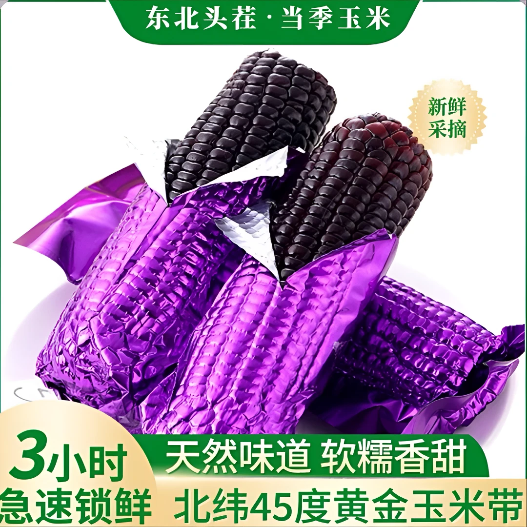 （手拎兜）（试吃3支）头茬东北黑糯玉米新鲜现摘香甜粘糯可代餐8支装