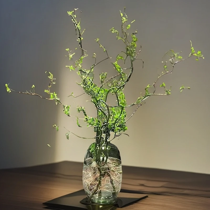 国风龙柳鲜枝盆栽水养水培室内花卉好养活泡水生根水培植物龙柳