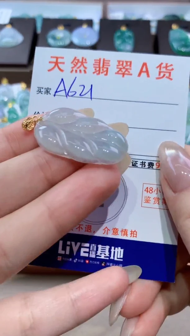 颈饰未镶嵌翡翠天然缅甸翡翠A货挂件