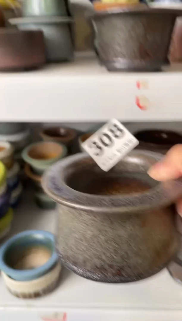 瓷片阿*308知木小芳花盆编号