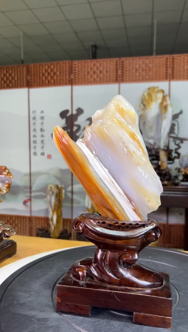 未镶嵌珠宝奇石硅化玉2