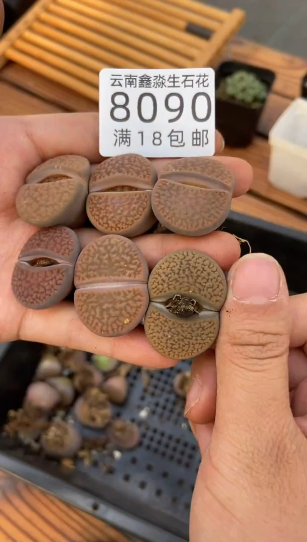 【闪购商品】8090特价富贵玉一手有瑕疵