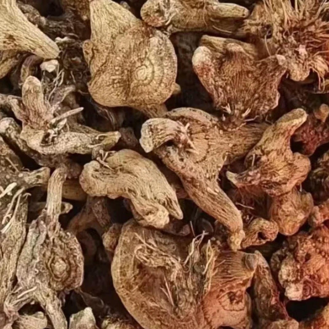 滋补西藏密宗元宝渗