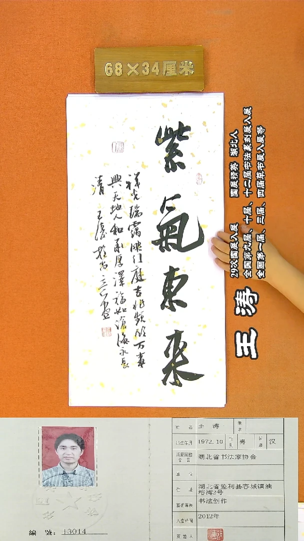 书法195R王涛书法作品