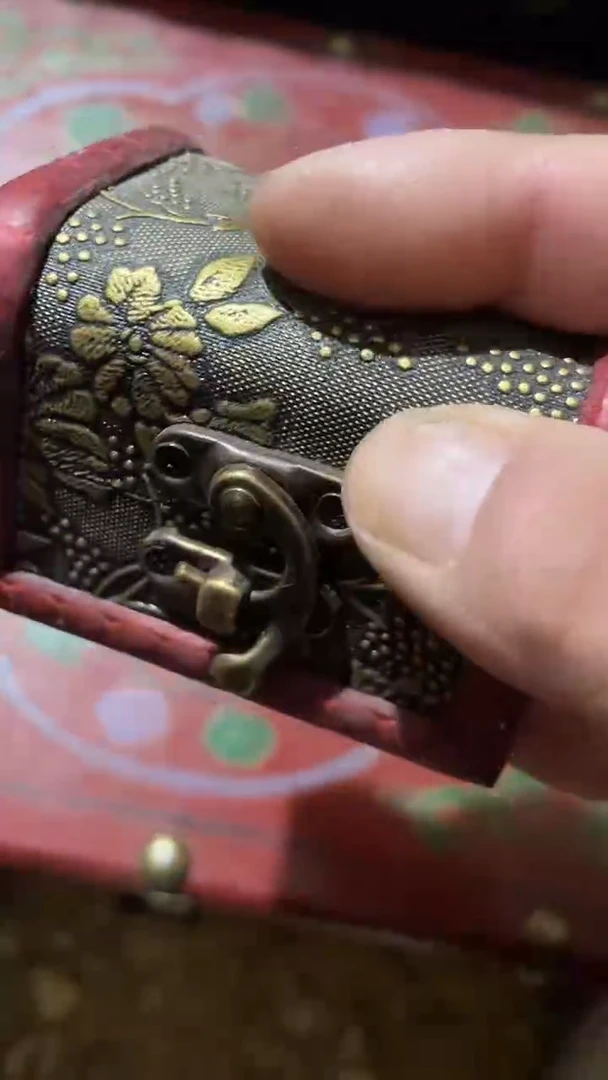 玉米李想专属链接  五币子 带盒