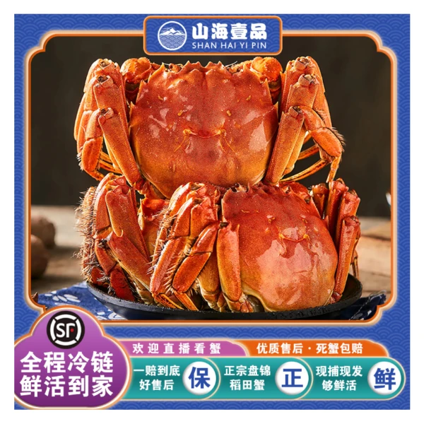 【活蟹】全母盘锦稻田河蟹 1.3-1.0两/只 2斤3斤 顺丰包邮 死蟹包赔