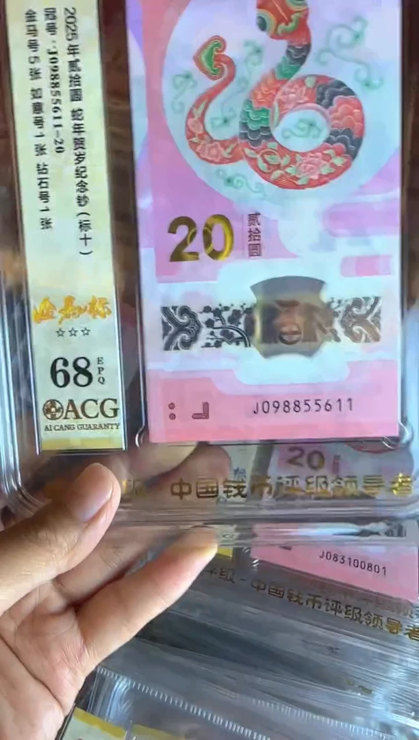 塑料2025 蛇钞 爱藏 标十 啊啊啊