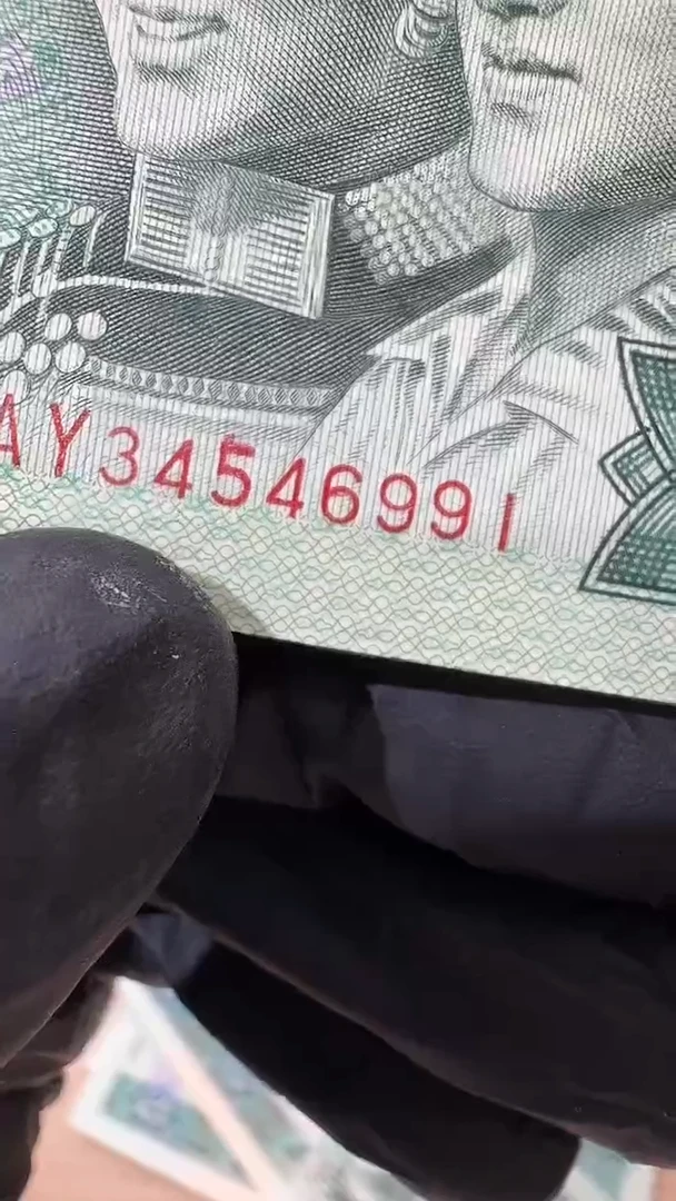 国评-802标十豹子组991组