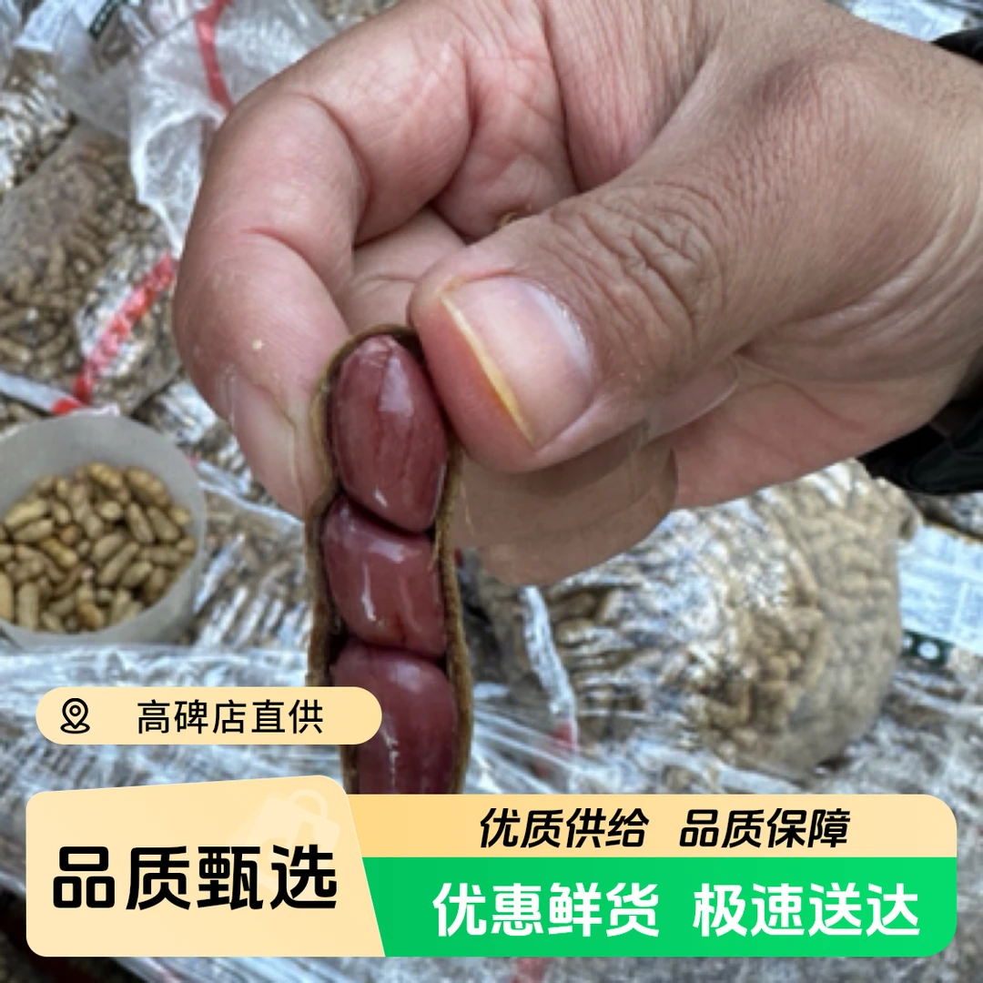 蒸汽花生（熟的）约2斤新鲜花生索马里