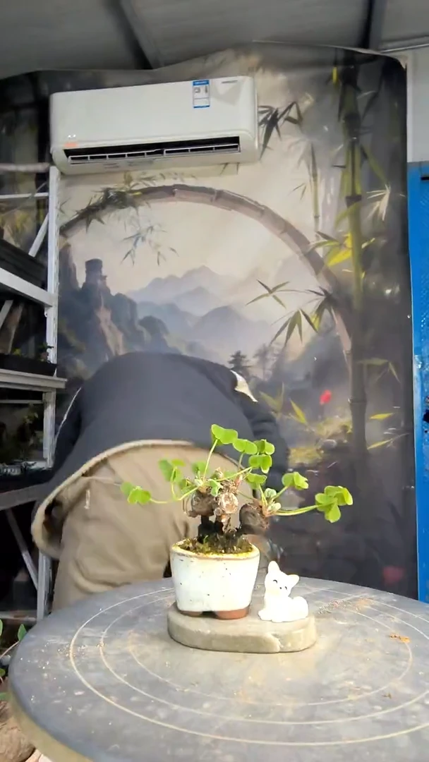 T中青园艺一物一拍177