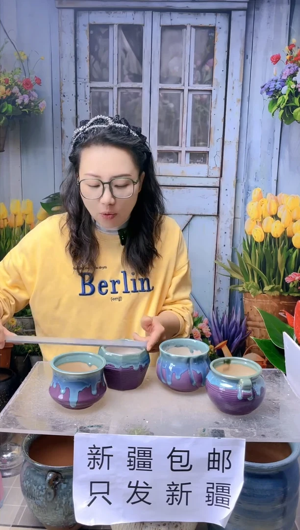 【闪购商品】红陶紫气东来1号四个装