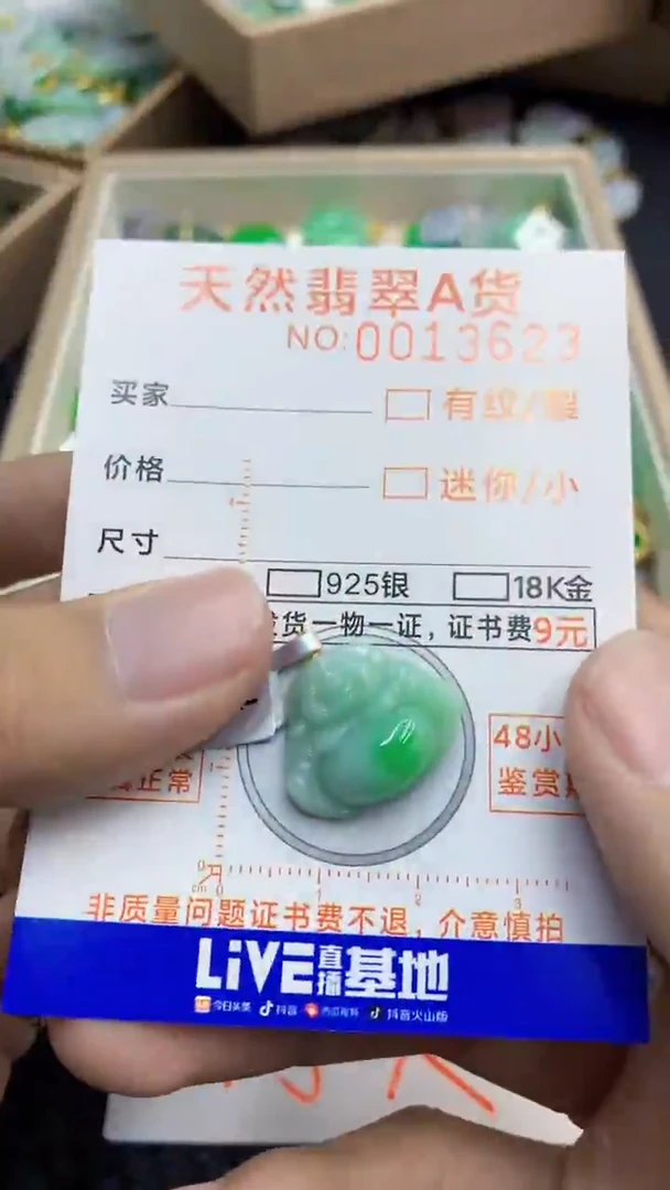 翡翠18K金镶嵌颈饰             1