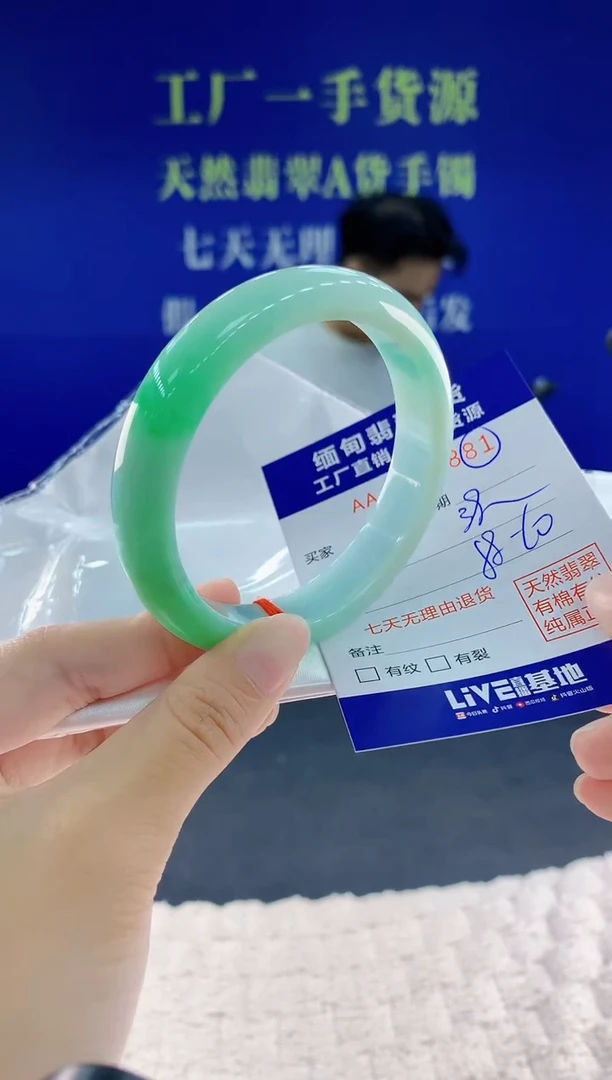 未镶嵌手镯翡翠81