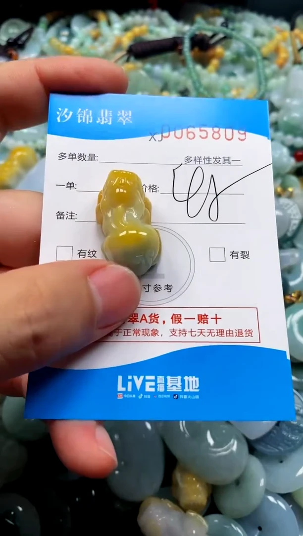 颈饰未镶嵌翡翠闪购商品0065809