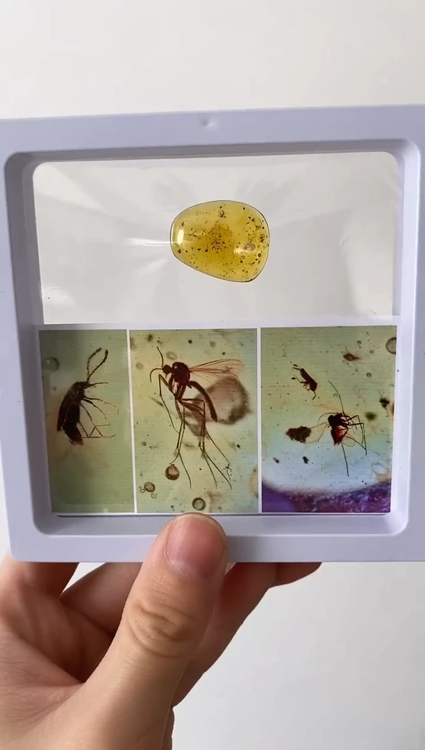 精美摆件创意礼物家居配饰新年礼物个人收藏