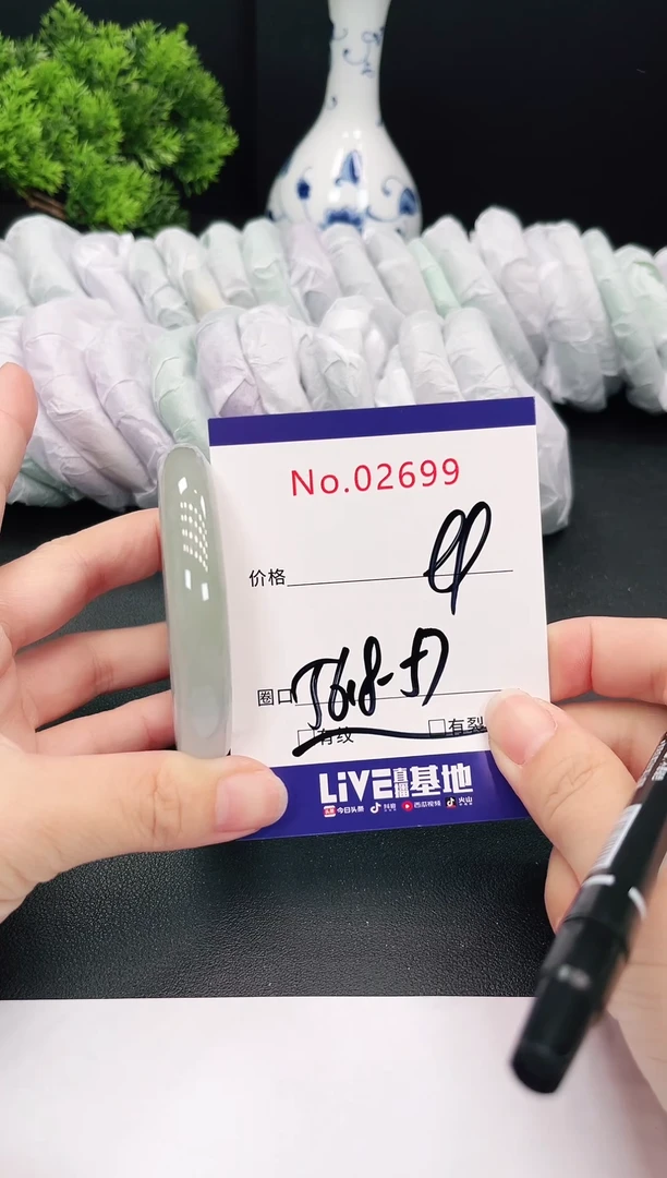 未镶嵌手镯翡翠2699