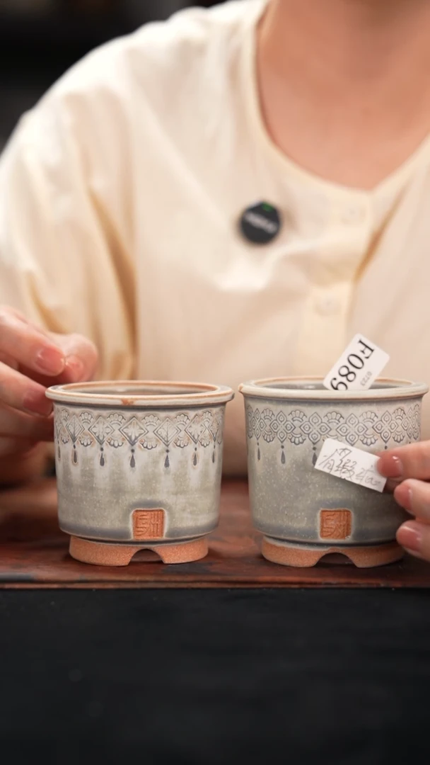 7-23-089花盆口径7混发1个