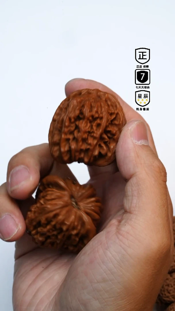 金刚菩提手串976