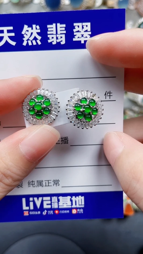 银S925镶嵌翡翠耳饰160