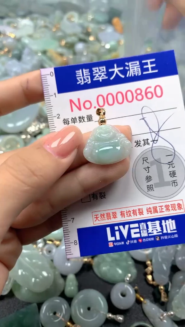 颈饰未镶嵌翡翠860