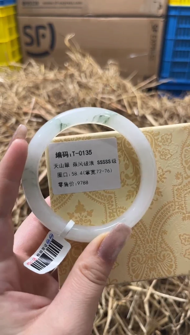 未镶嵌手镯石英质玉T-0135