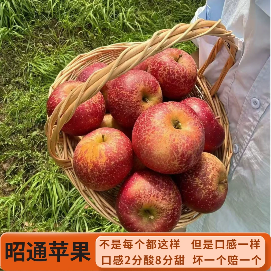 净重4.5云南昭通富士新鲜苹果2分酸8分甜应季现摘现发带箱5斤包邮