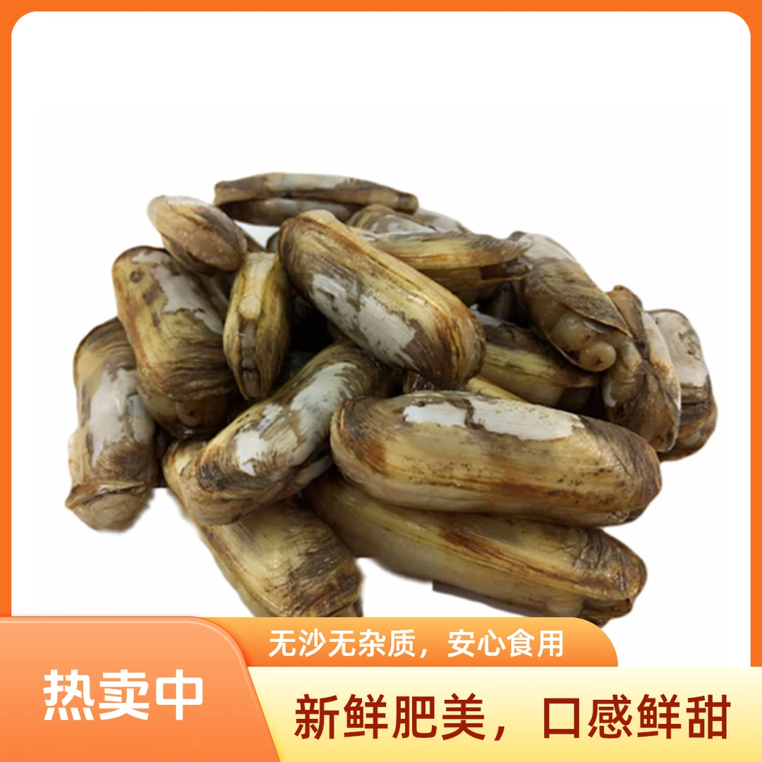 [彬哥虾兵蟹将]小蛏子一斤装