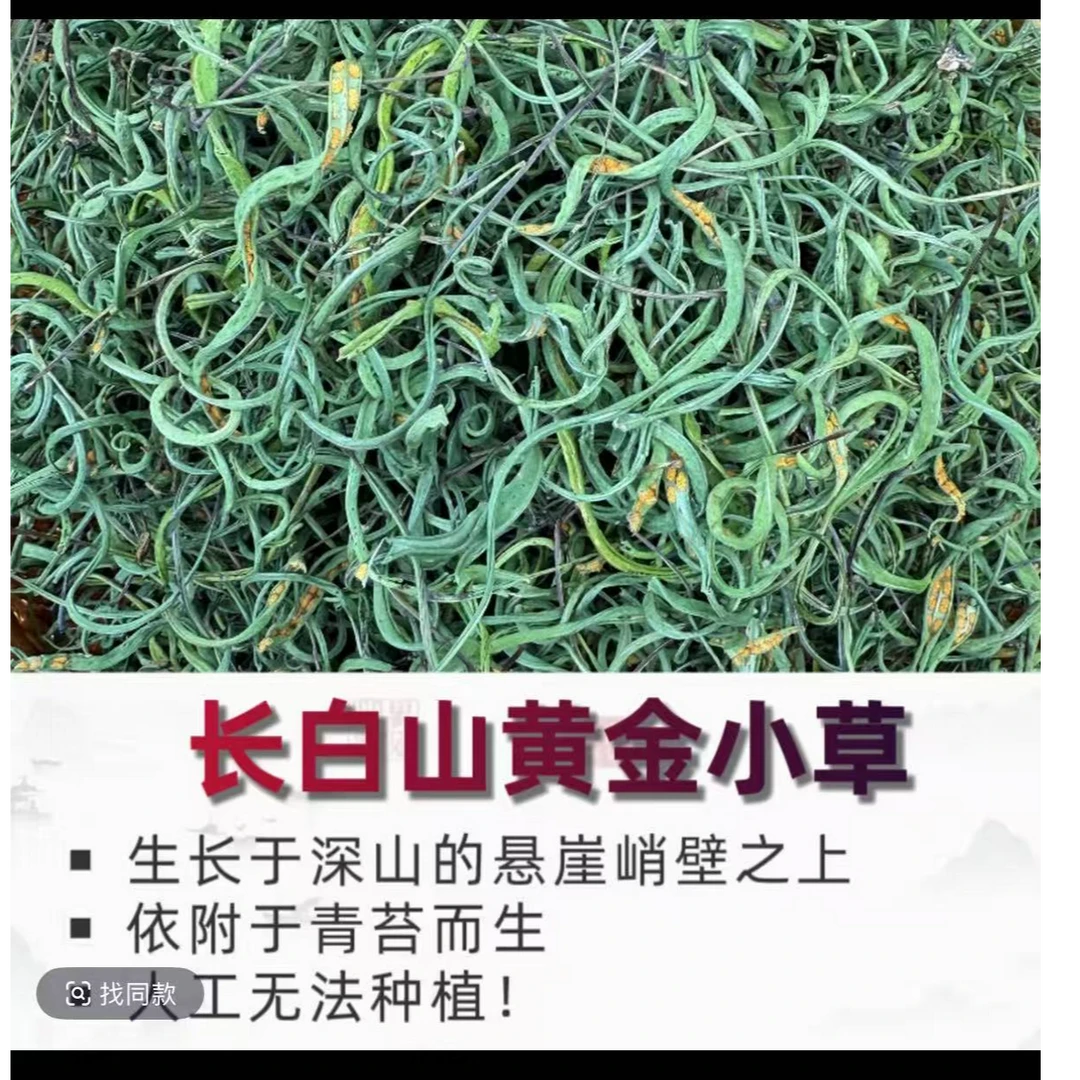 【张书记推荐】长白山野生肾精草养生茶男士专属茶