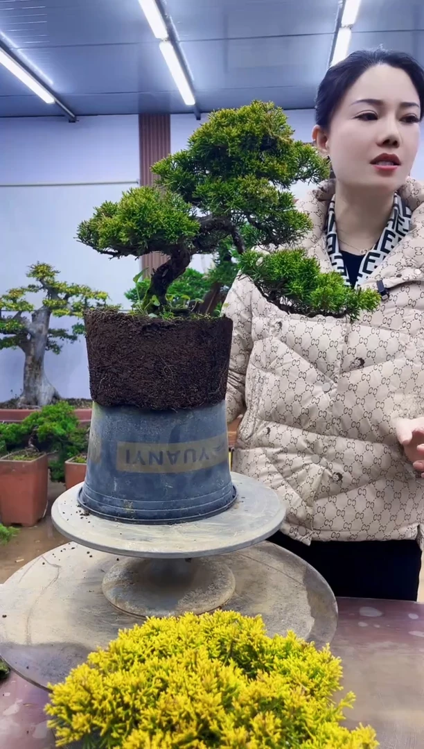 无花朵森****织000000000000000000000000000