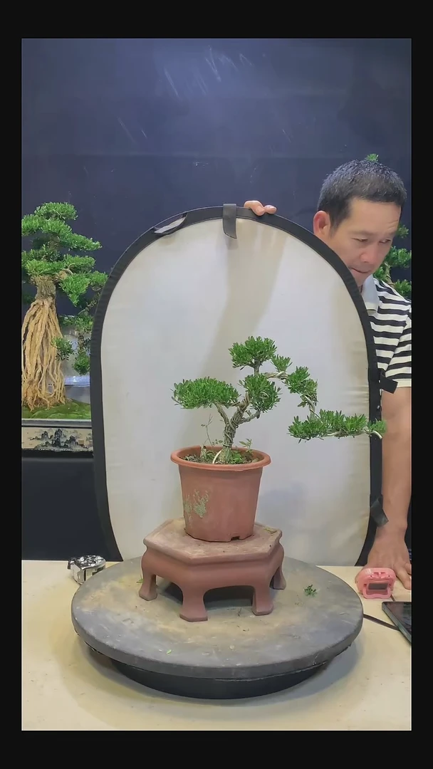 完全开放小*11111