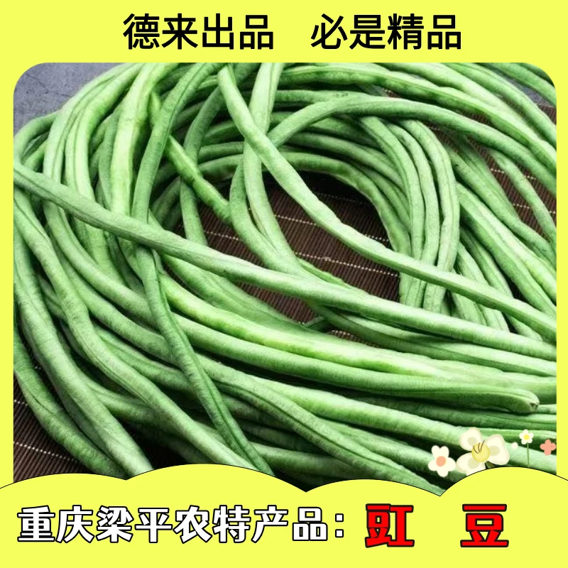 重庆梁平正宗农产品新鲜现摘豇豆新鲜发货
