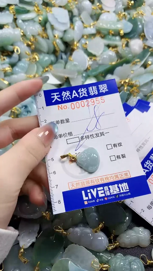 颈饰未镶嵌翡翠纯天然a货翡翠