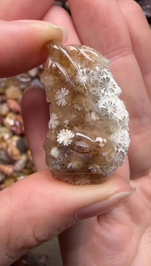 硅化珊瑚（珊瑚玉）未镶嵌颈饰553