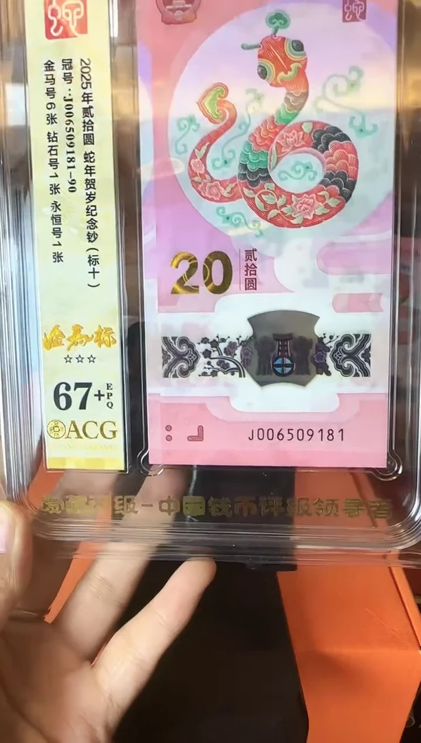 塑料2025蛇钞 爱藏标十  啊啊啊啊