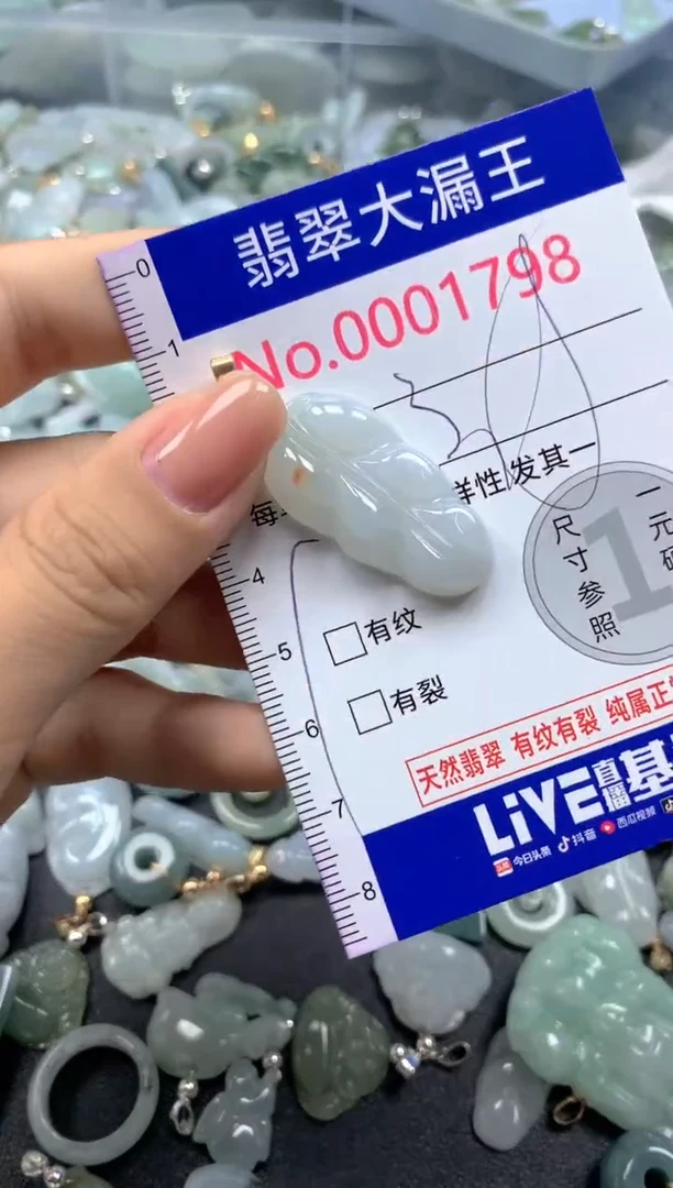 颈饰未镶嵌翡翠1798