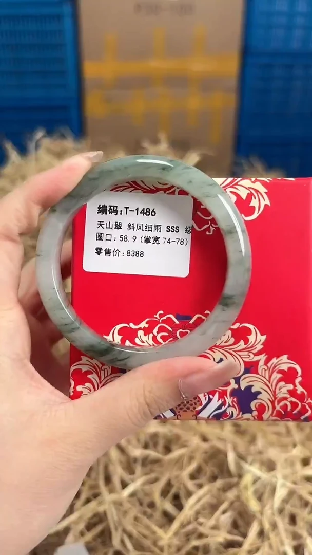 未镶嵌手镯石英质玉T-1486