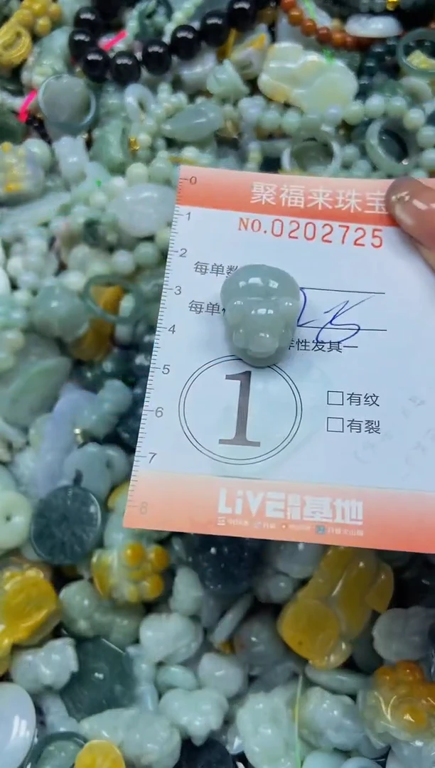 翡翠未镶嵌颈饰闪购0202725