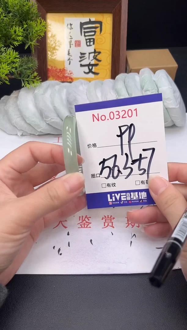 未镶嵌手镯翡翠3201