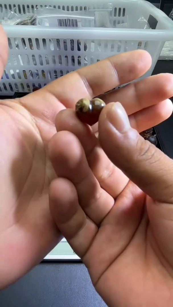 裸石琥珀未镶嵌38