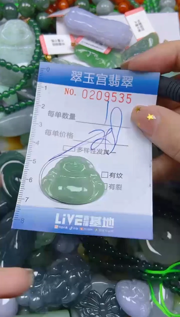 颈饰未镶嵌翡翠闪购C0209535多样性发其一