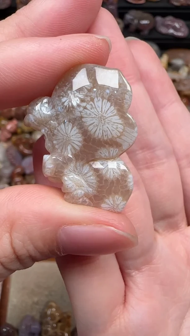 颈饰未镶嵌硅化珊瑚（珊瑚玉）106