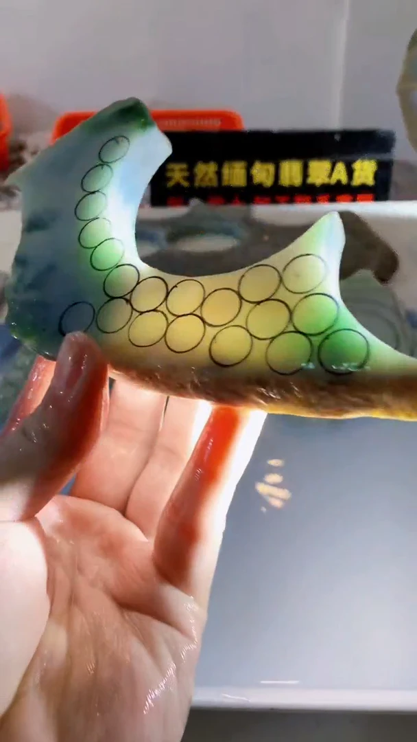 颈饰未镶嵌翡翠缅甸A货翡翠819