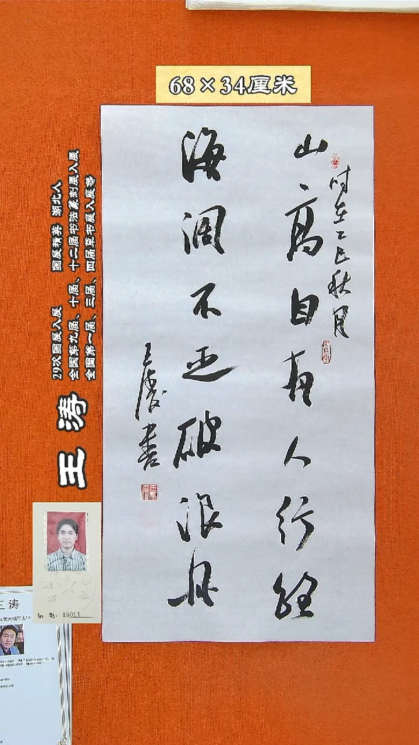 书法218王涛书法作品