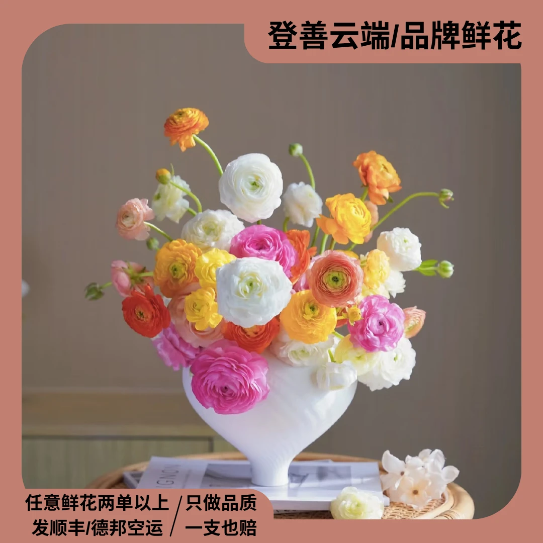 【洋牡丹】精选优质洋牡丹云南鲜花优质鲜切花水培鲜花家居观赏花