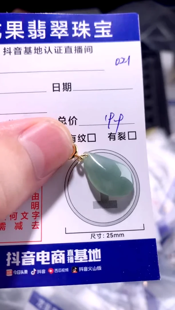 翡翠未镶嵌颈饰绿随形021