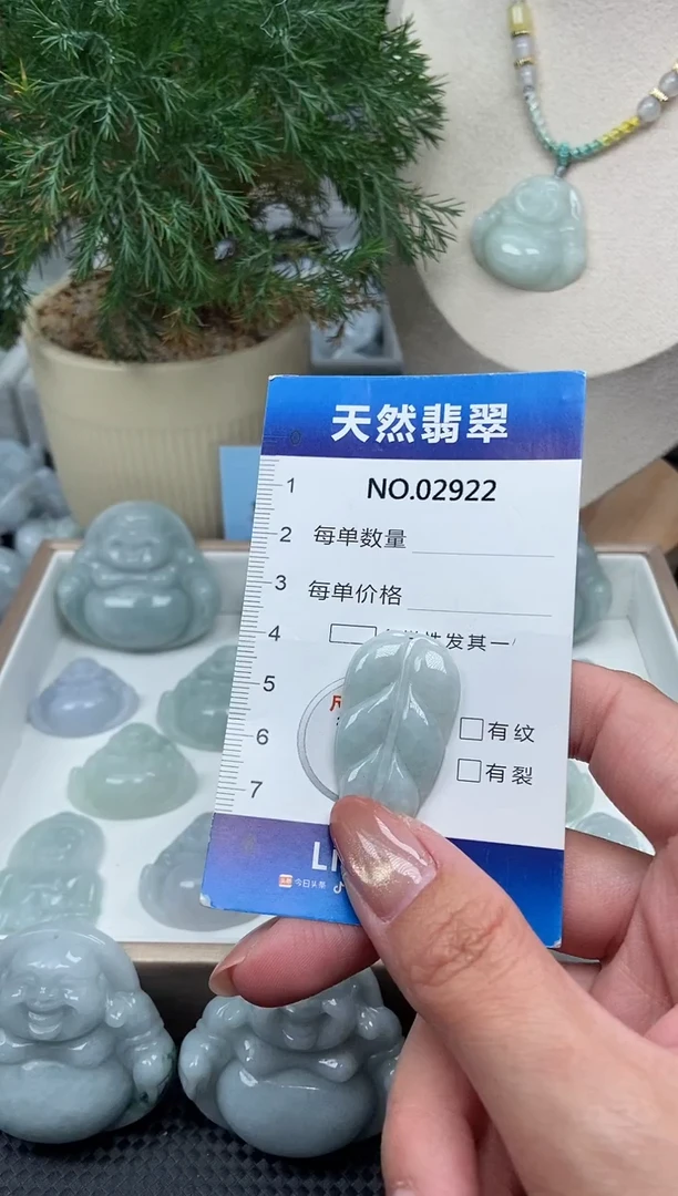 颈饰未镶嵌翡翠纯天然A货翡翠2922