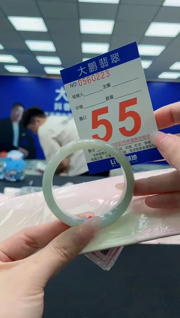 未镶嵌手镯翡翠AAAAAAAAA