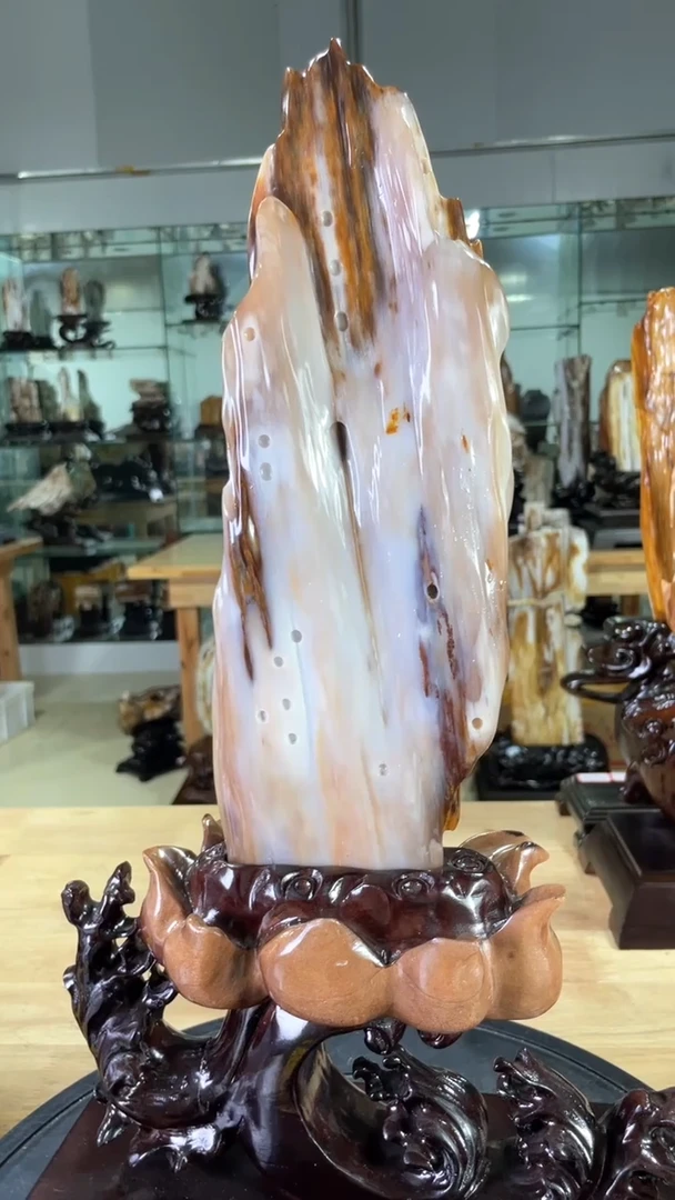 【闪购商品】硅化玉珠宝奇石未镶嵌800