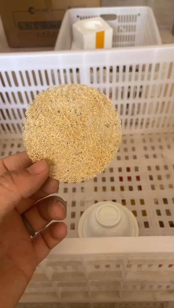 无运费险有瑕疵的有点脏介意勿拍